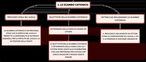 Diagramma della capacità di scambio cationico del substrato