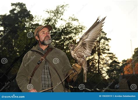 Falconiere con falco in Trentino