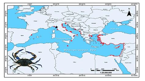 Map showing blue crab distribution in the Mediterranean