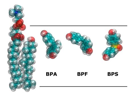 Infografica sulla struttura chimica del BPA e BPS