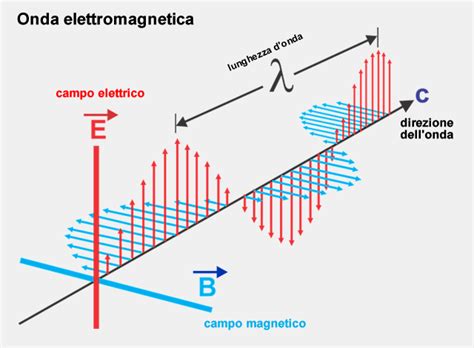 Diagramma dell'interazione delle onde elettromagnetiche con i testicoli e i meccanismi di danno