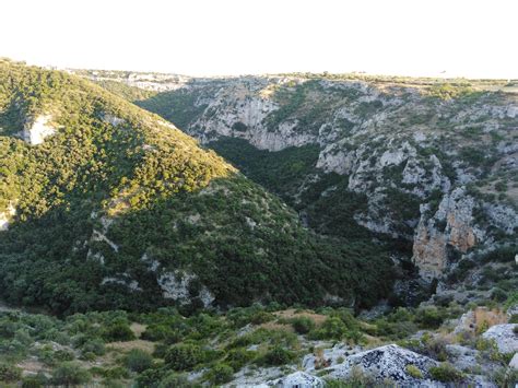 Vigneti di Saldenya immersi nella macchia mediterranea