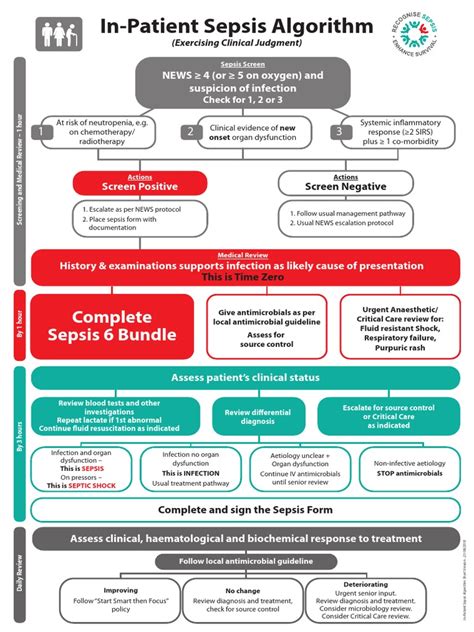 Sepsis Pathway Infographic