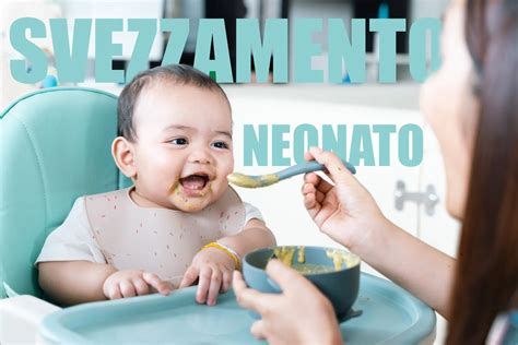 Timeline dello svezzamento del cucciolo con indicazione dei tipi di cibo
