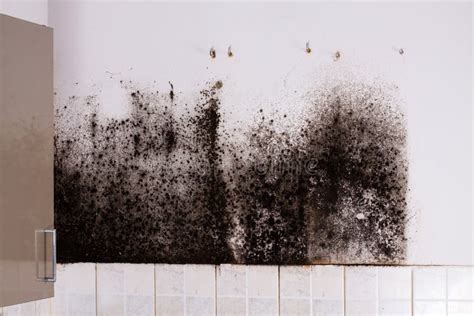 Muffa nera all'interno di un componente di biberon