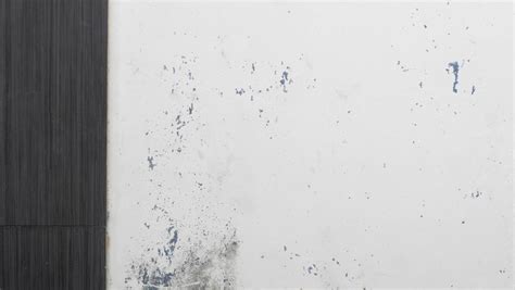 Illustrazione di macchie di umidità su un muro come segnale di perdita occulta.