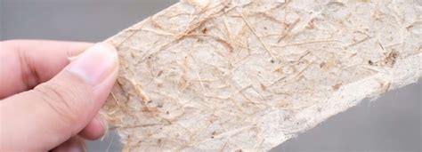 Dettaglio tecnico delle fibre di cellulosa non sbiancata