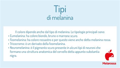 Struttura dell'iride e distribuzione della melanina