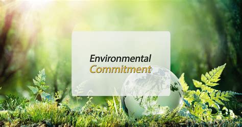 Environmental commitment of Foppapedretti