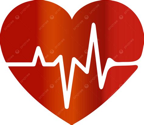 rappresentazione grafica del battito cardiaco durante la gestazione