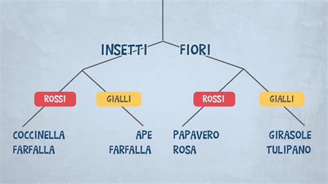 diagramma etimologico di incinta