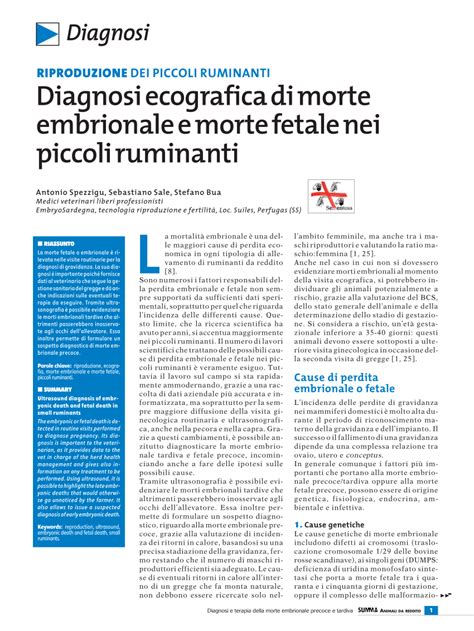 Morte embrionale bovina: Immagine ecografica