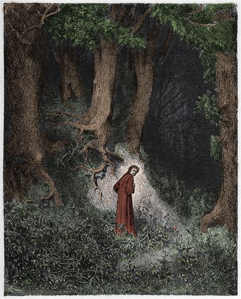 Dante smarrito nella selva oscura