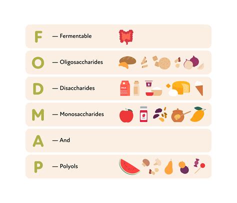 schema grafico sulla dieta FODMAP e l'equilibrio intestinale