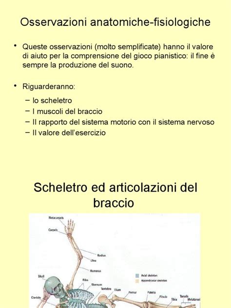 Confronto tettarelle fisiologiche e anatomiche