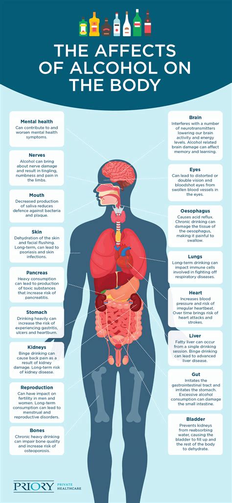 Infographic of alcohol's impact on various organs