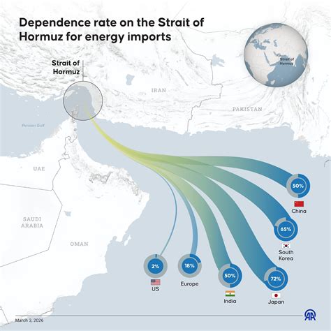 Dettaglio grafico del sistema di chiusura e trasporto del telaio