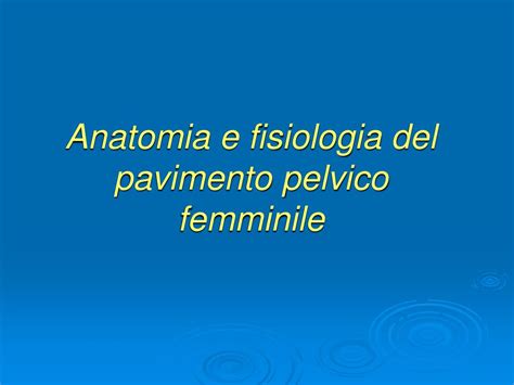 Anatomia Funzionale del Pavimento Pelvico