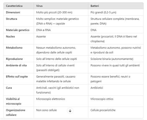 Schema dei batteri e virus più comuni che causano meningite nei bambini