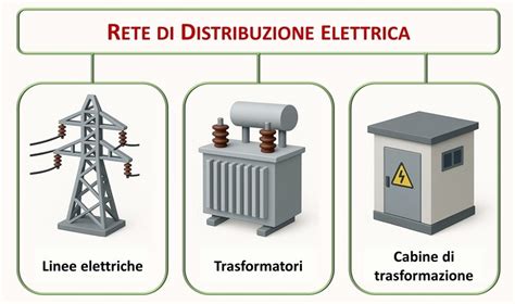 Schema di distribuzione di casette nido in un bosco