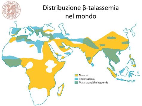 Mappa della distribuzione geografica della talassemia