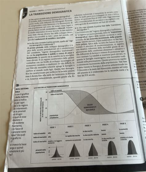 Diagramma che illustra le diverse fasi della transizione menopausale