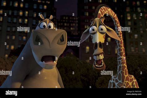 Melman la giraffa e Gloria l'ippopotamo