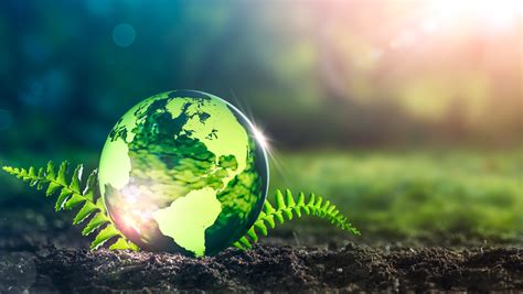 Valori di sostenibilità