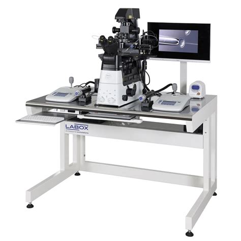 Microscopio per ICSI con micromanipolatori