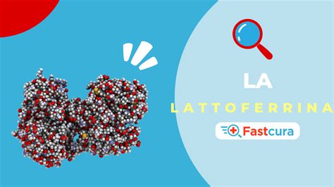 Struttura molecolare della lattoferrina e le sue principali funzioni