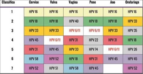 Tipi di HPV e rischi associati