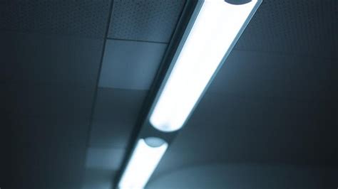 Struttura interna di una lampada fluorescente