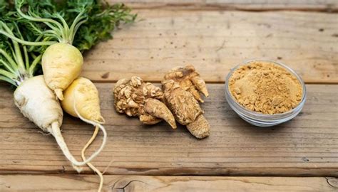 Illustrazione della Maca peruviana e delle sue proprietà