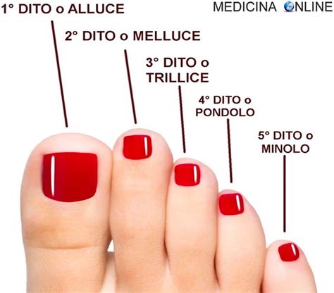 Dita dei Piedi e Stabilità