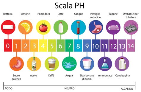 Scala del pH con indicazione acido, neutro e basico