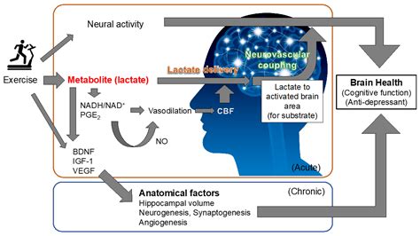 grafico che spiega i benefici cognitivi delle filastrocche