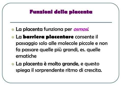 Funzioni endocrine della placenta: ormoni chiave