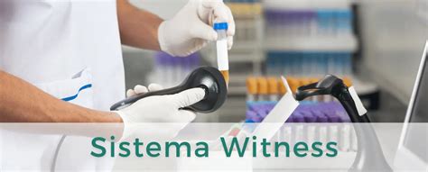 Infografica Sistema Witness