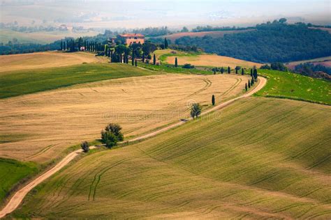paesaggio rurale toscano con campi di pomodori e distese di grano
