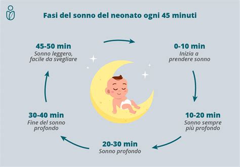 rappresentazione schematica dei cicli del sonno nel neonato