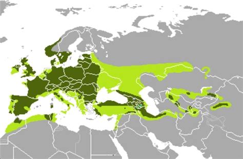 Mappa dell'areale di diffusione del cervo nobile in Europa e Asia