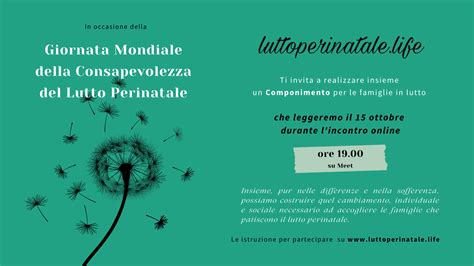Infografica sul percorso di resilienza nelle coppie dopo un lutto perinatale