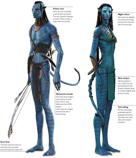 rappresentazione del legame tsaheylu tra un Na'vi e un animale di Pandora