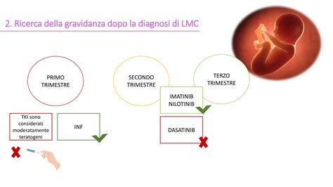 Infografica sui periodi critici della gravidanza e i rischi teratogeni