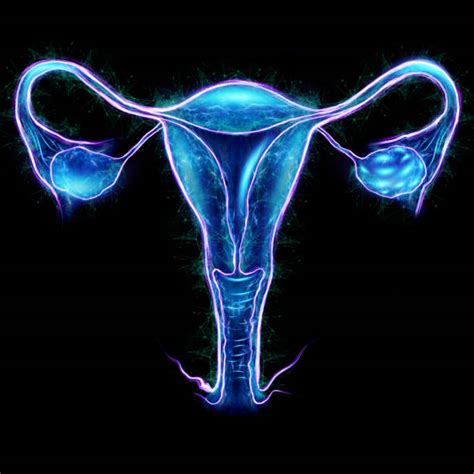 Immagine ecografica di utero con possibile residuo