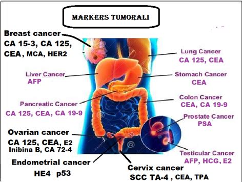 mappa concettuale dei marker tumorali in ginecologia