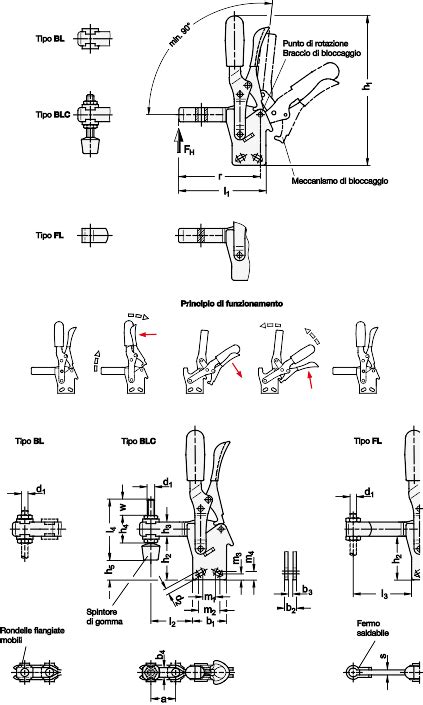Diagramma tecnico delle 4 ruote piroettanti con dettaglio sul meccanismo di bloccaggio e frenata