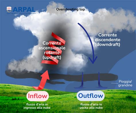 Formazione di cariche elettriche all'interno di una nuvola temporalesca