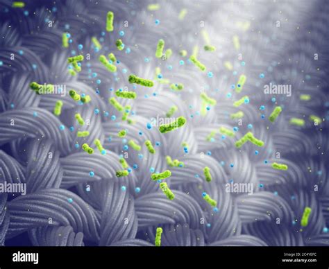 Microscopio che mostra germi su un tessuto di seggiolino auto