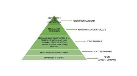 schema grafico sulla dicotomia tra anonimato del donatore e diritto alla conoscenza delle origini